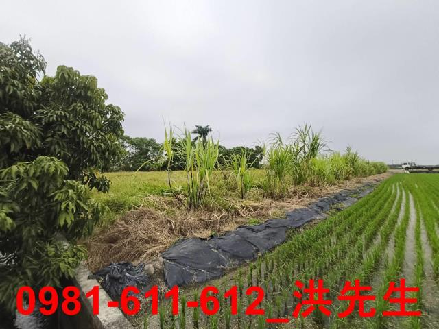 美濃農地-2